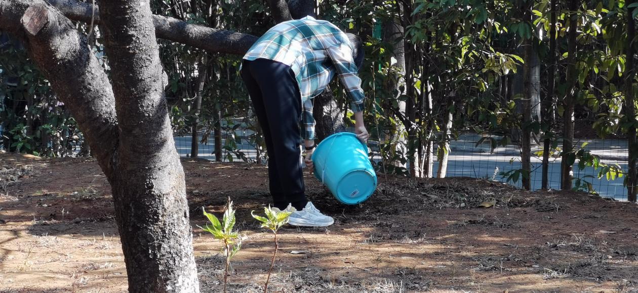 a片无码